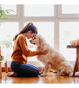 Why Pawbioticum? – The new generation of smart care