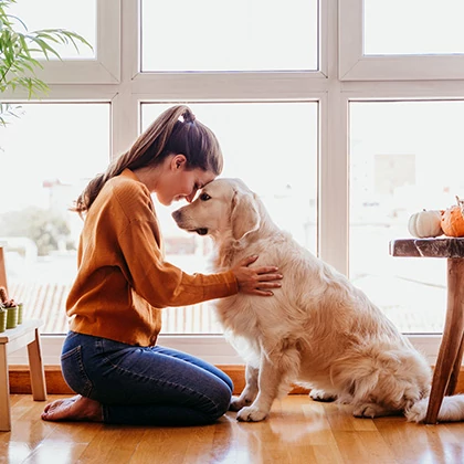 Why Pawbioticum? – The new generation of smart care