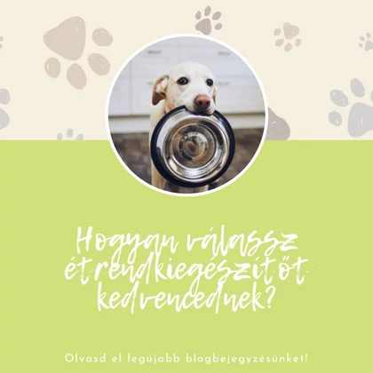 How to Choose a Dietary Supplement for Your Pet – 5 Factors You Should Definitely Consider